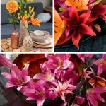 Como crear un hogar invernal cálido con azucenas y sus cuidados.