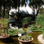 5 trucos para terrazas y jardines de última tendencia