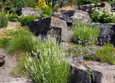Consejos para crear una rocalla en el jardín.