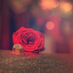 ¿Qué son las Rosas Preservadas?