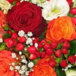 El significado de las flores. La flor adecuada para cada ocasión