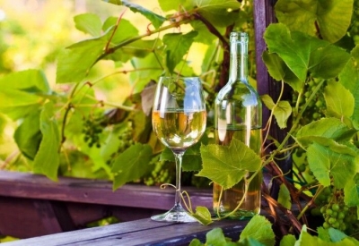 El vino blanco, 13 Mitos y propiedades