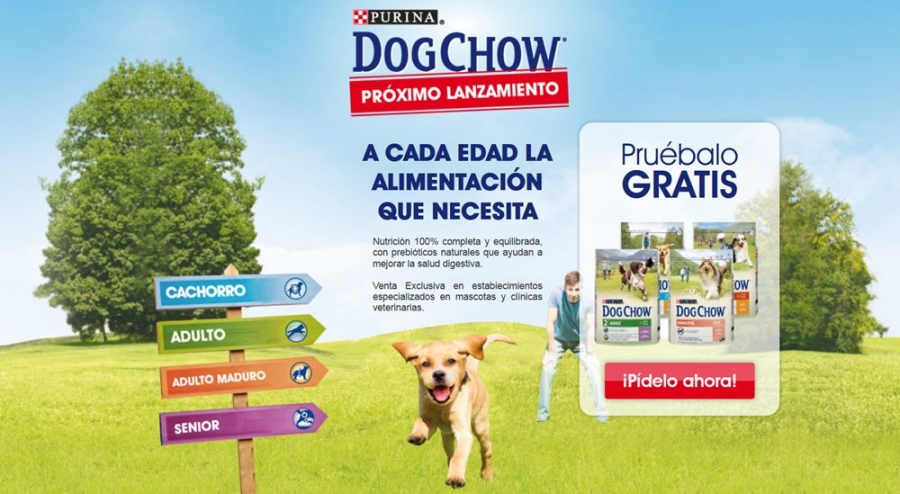 Dog Chow: El pienso para perros vuelve a España