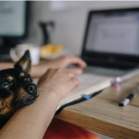 Cómo organizar tu hogar para trabajar desde la mejor oficina del mundo