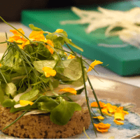 Ensalada de quinoa con hinojo y huevas de trucha