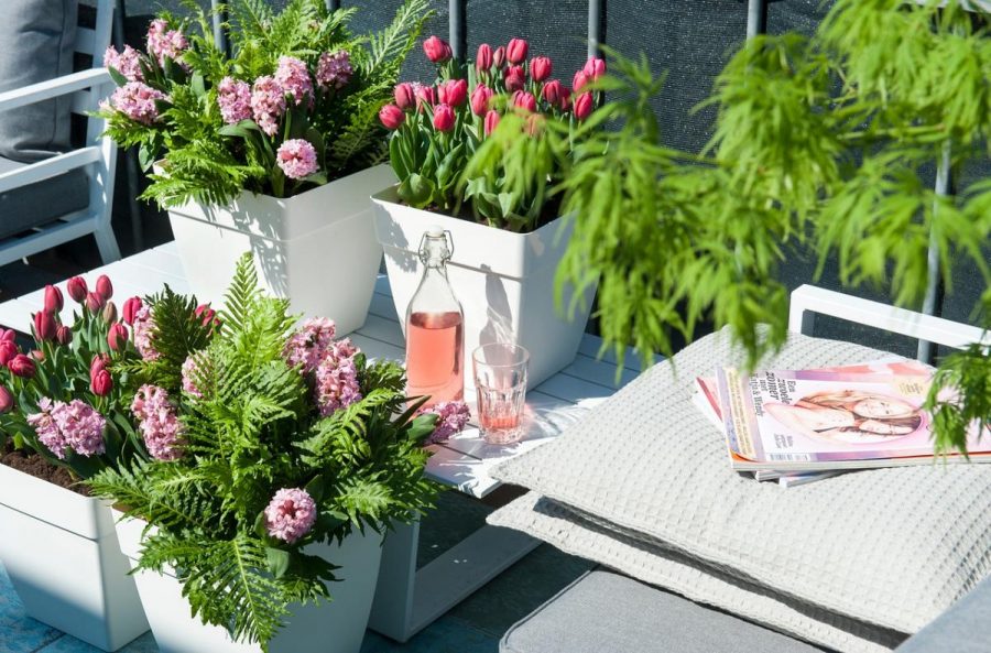 Disfruta de un jardín en tu balcón o terraza