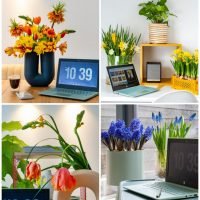 Crea una zona de trabajo agradable con coloridas flores