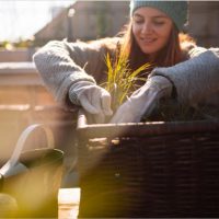 Descubre la mejor tienda de productos agrícolas