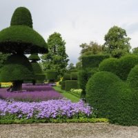 La importancia de la poda de árboles y el mantenimiento del jardín