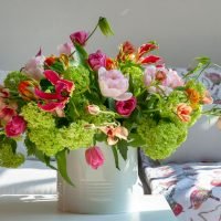 Disfruta de flores primaverales el mayor tiempo posible
