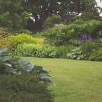 ‘Jardinoterapia’, una disciplina para mejorar nuestra salud mental
