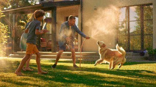 claves para cuidar a tus compañeros peludos durante la primera e inusual alza de temperaturas que alcanzarán los 40 grados en algunas ciudades de España