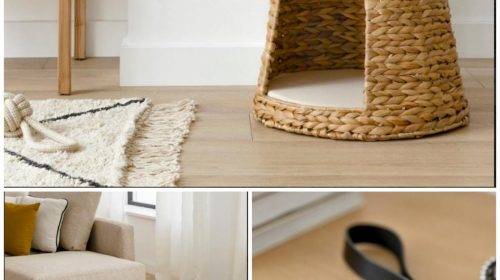 Nace Kenay Pets La línea más especial para los peluditos de la casa