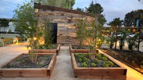 Jardines comestibles