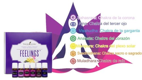 chacras y aceites esenciales