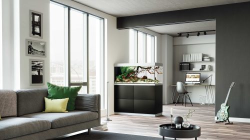 Decorar y crear separadores de ambiente con un acuario.