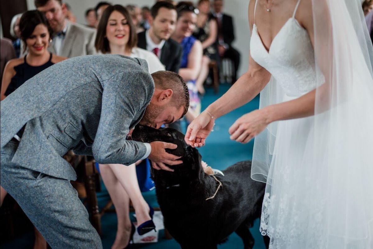 Cómo hacer que tu mascota participe en tu boda
