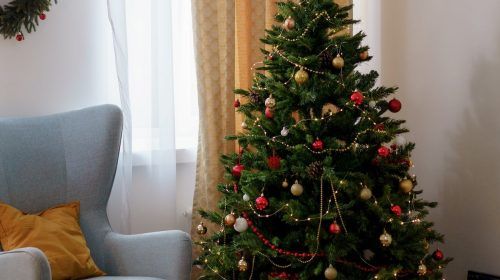 El abeto como símbolo de la Navidad: cómo conservar esta especie y darle una segunda vida tras las fiestas