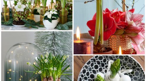 Un alegre ambiento navideño con flores