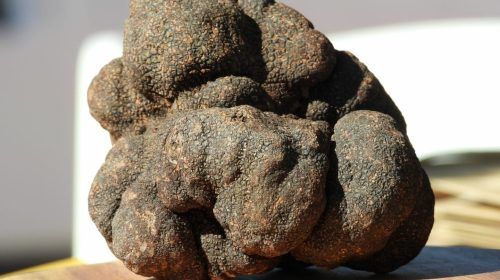Las seis cosas que no estás haciendo bien para conservar y cocinar la codiciada trufa negra