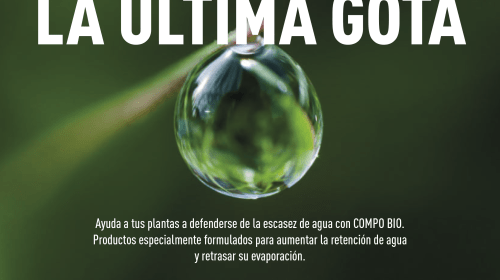 Consejos para un jardín sostenible en tiempos de sequía: