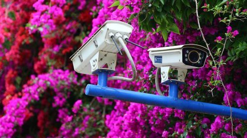 5 pros y contras sobre por qué instalar cámaras de seguridad profesionales