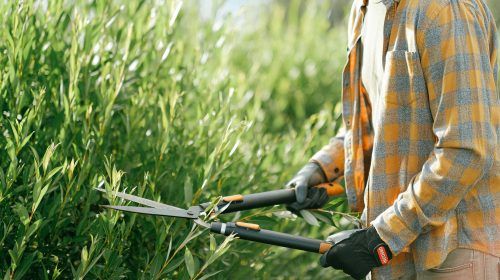 Cómo preparar tu jardín para el invierno y garantizar una primavera espectacular.