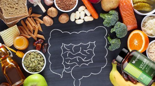 ¿Son Saludables los Probióticos veganos ?
