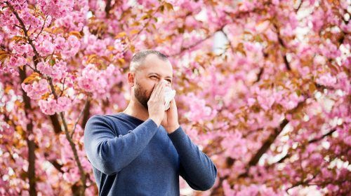 Suplementos naturales para combatir alergias de primavera.