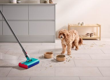 Dyson-Wet-Cleaning