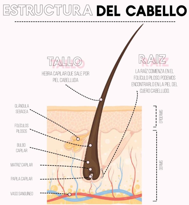 Cómo reparar el cabello dañado desde casa.