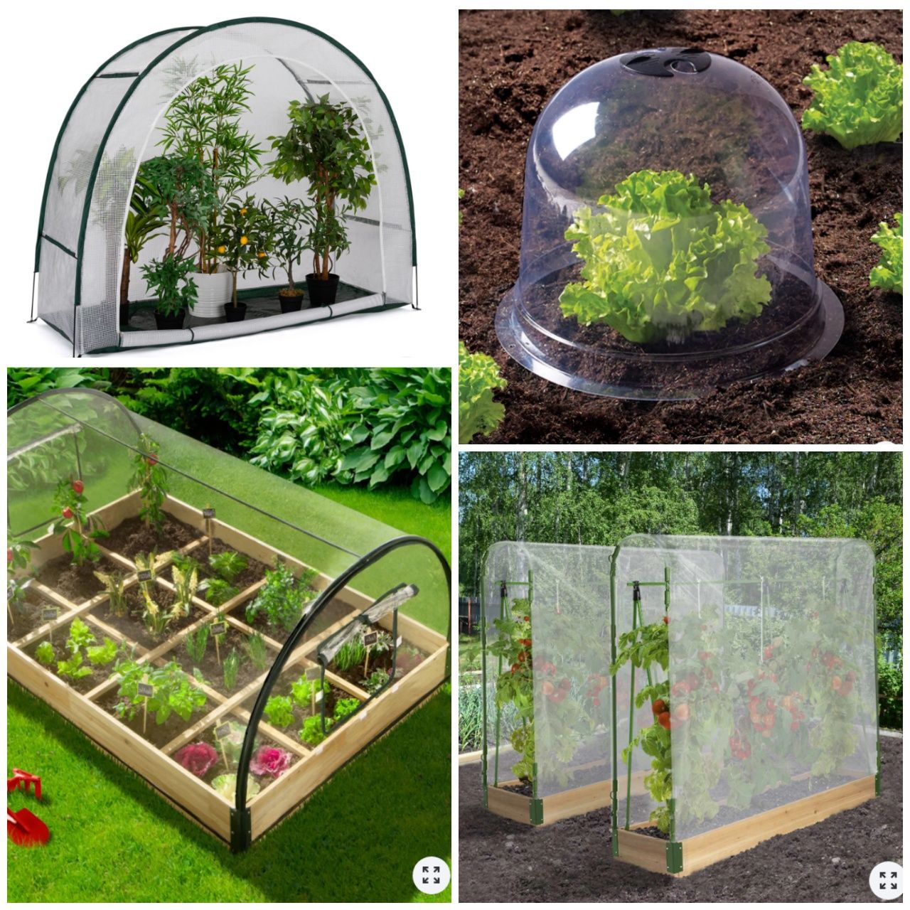 Instala un invernadero en tu Jardín o Terraza para tener verdura fresca todo el año.