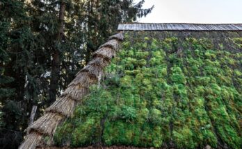 Techos vegetales: una barrera urbana capaz de retener más del 97% de los microplásticos durante la lluvia.