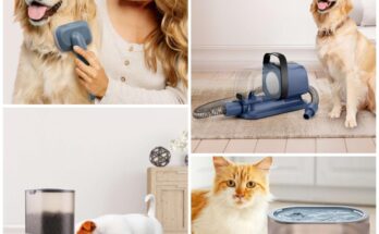 Pequeños electrodomésticos y gadgets para tu mascota.