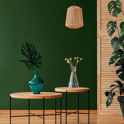 Descubre con CIN Valentine las tendencias de color que marcarán los hogares este año