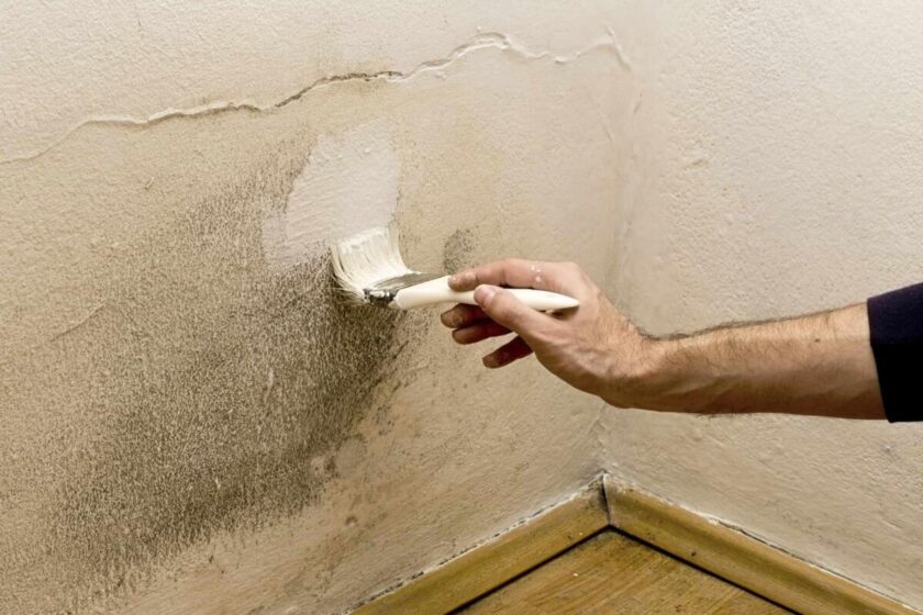 Pintura antihumedad: Cómo elegir la mejor opción.