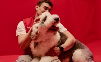 Generali lanza su seguro de mascotas.