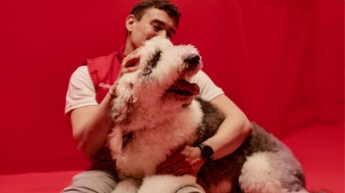 Generali lanza su seguro de mascotas.