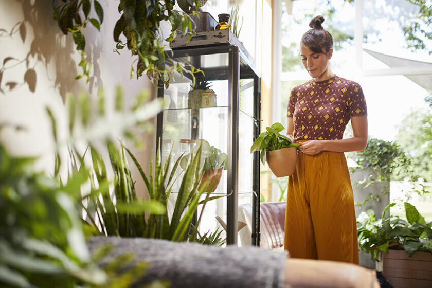 COMPO lanza DIRECT: la forma fácil y natural de cuidar tus plantas en casa.