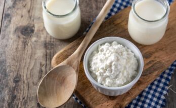 Ventajas de tomar probióticos: la salud digestiva-