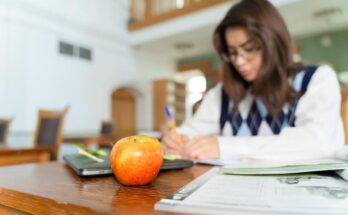Época de exámenes: claves para mantener la concentración y apoyar tu rendimiento mental Época de exámenes: claves para mantener la concentración y apoyar tu rendimiento mental