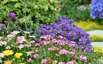 Pautas esenciales para salvar el jardín del estrés térmico.